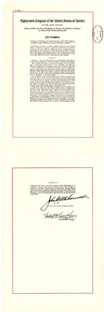 25th Amendment